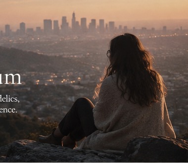 Los Angeles at dusk